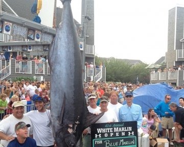 Group of people posing with a blue marlin