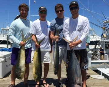 Four guys holding tuna and dolphin fish