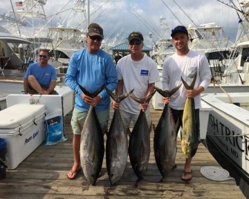 Guys posing with tuna and dolphin fish
