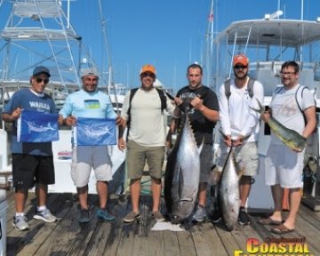 Men posing with caught tuna and dolphin fish